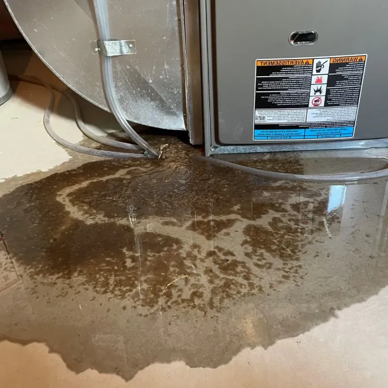 Pipe Burst and Leak Restoration in Rhinebeck, NY